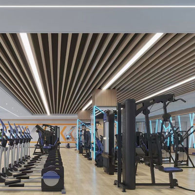 Aluminum Suspended Baffle Ceiling Tile Acoustic Ceiling Panels Fire Proof