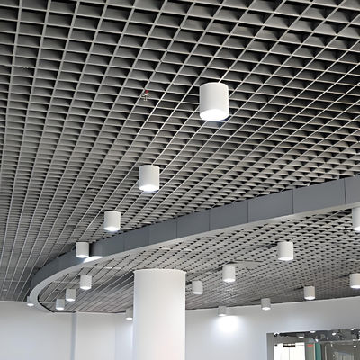 Interion Decoration Aluminum Grille Ceiling Special Office Ceiling Grid Panel