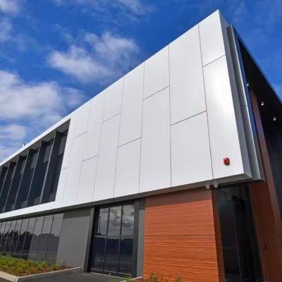 Heat Insulation Aluminum Veneer Panel Curtain Wall Exterior Wall Panels For House