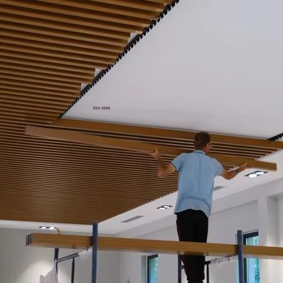 3D Design Aluminum Wall Panel Ceiling , Aluminum Acoustic Suspended Ceiling