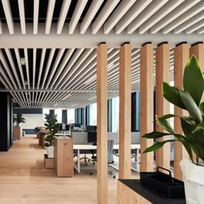 3D Design Aluminum Wall Panel Ceiling , Aluminum Acoustic Suspended Ceiling